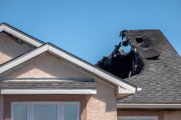 Top rated local Odor Removal specialists in Dallas, TX